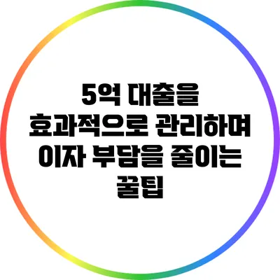 5억 대출을 효과적으로 관리하며 이자 부담을 줄이는 꿀팁