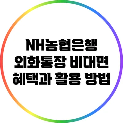 NH농협은행 외화통장 비대면 혜택과 활용 방법