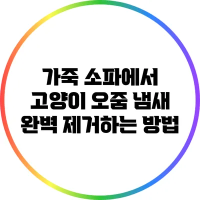 가죽 소파에서 고양이 오줌 냄새 완벽 제거하는 방법