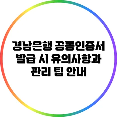 경남은행 공동인증서 발급 시 유의사항과 관리 팁 안내