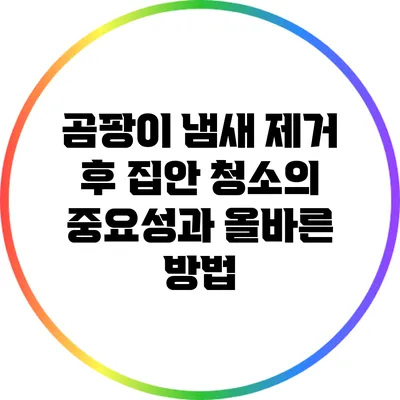 곰팡이 냄새 제거 후 집안 청소의 중요성과 올바른 방법