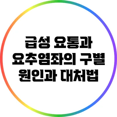 급성 요통과 요추염좌의 구별: 원인과 대처법