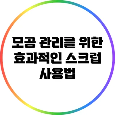 모공 관리를 위한 효과적인 스크럽 사용법