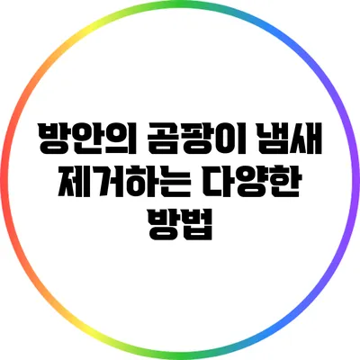 방안의 곰팡이 냄새 제거하는 다양한 방법