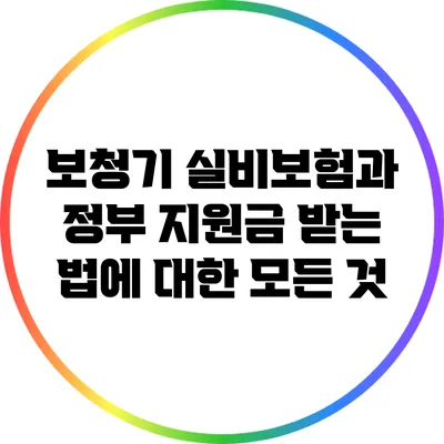 보청기 실비보험과 정부 지원금 받는 법에 대한 모든 것