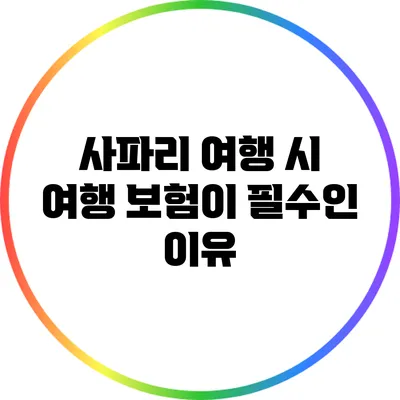 사파리 여행 시 여행 보험이 필수인 이유
