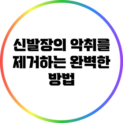 신발장의 악취를 제거하는 완벽한 방법
