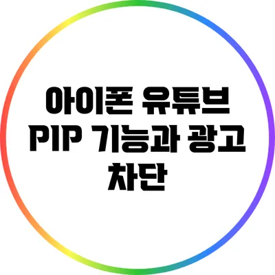 아이폰 유튜브 PIP 기능과 광고 차단