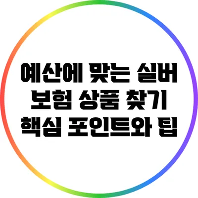 예산에 맞는 실버 보험 상품 찾기: 핵심 포인트와 팁