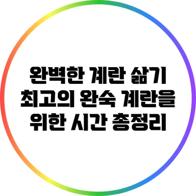 완벽한 계란 삶기: 최고의 완숙 계란을 위한 시간 총정리