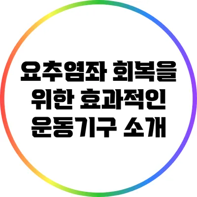 요추염좌 회복을 위한 효과적인 운동기구 소개
