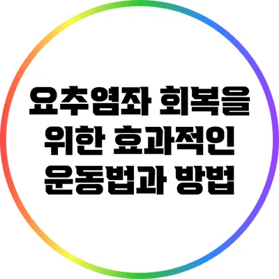 요추염좌 회복을 위한 효과적인 운동법과 방법