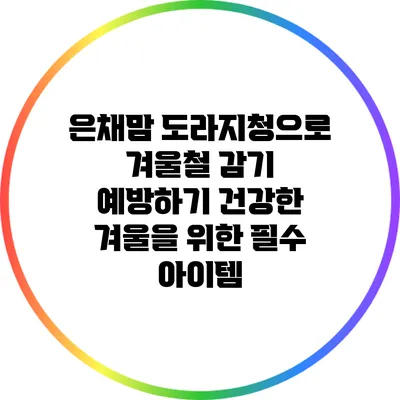 은채맘 도라지청으로 겨울철 감기 예방하기: 건강한 겨울을 위한 필수 아이템