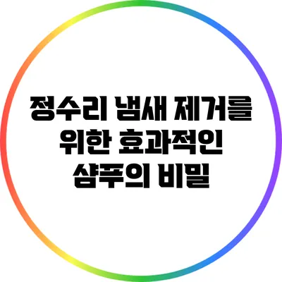 정수리 냄새 제거를 위한 효과적인 샴푸의 비밀
