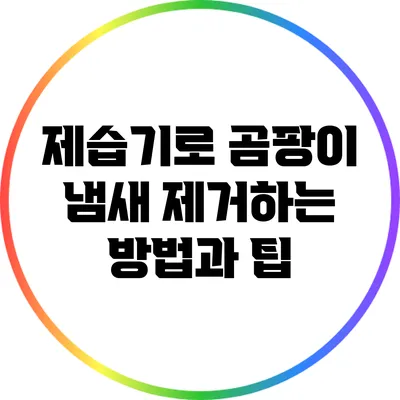 제습기로 곰팡이 냄새 제거하는 방법과 팁