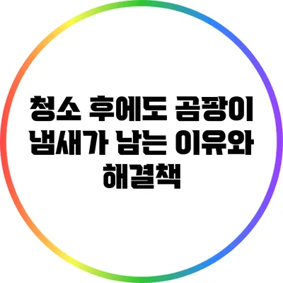 청소 후에도 곰팡이 냄새가 남는 이유와 해결책