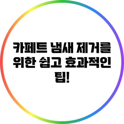 카페트 냄새 제거를 위한 쉽고 효과적인 팁!