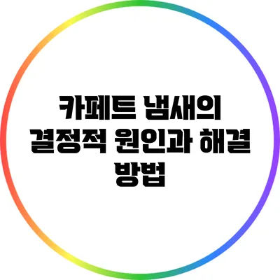 카페트 냄새의 결정적 원인과 해결 방법