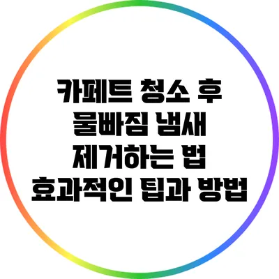 카페트 청소 후 물빠짐 냄새 제거하는 법: 효과적인 팁과 방법
