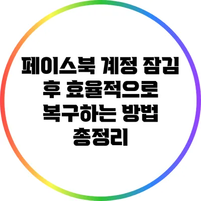페이스북 계정 잠김 후 효율적으로 복구하는 방법 총정리