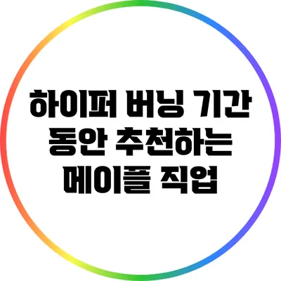 하이퍼 버닝 기간 동안 추천하는 메이플 직업