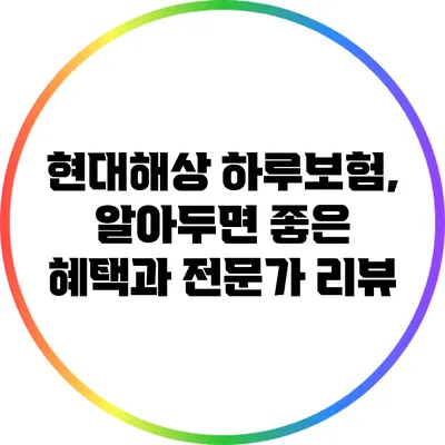 현대해상 하루보험, 알아두면 좋은 혜택과 전문가 리뷰