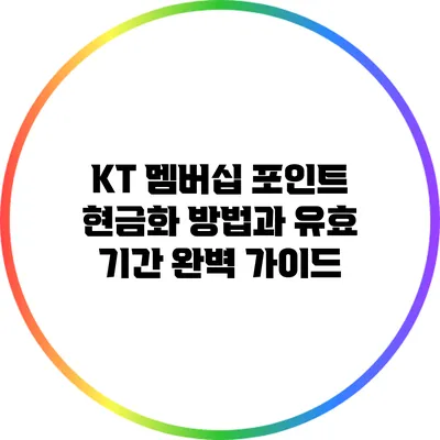 KT 멤버십 포인트 현금화 방법과 유효 기간 완벽 가이드