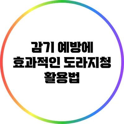 감기 예방에 효과적인 도라지청 활용법