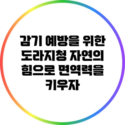 감기 예방을 위한 도라지청: 자연의 힘으로 면역력을 키우자