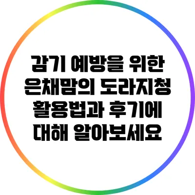 감기 예방을 위한 은채맘의 도라지청 활용법과 후기에 대해 알아보세요