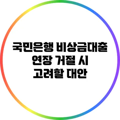 국민은행 비상금대출 연장 거절 시 고려할 대안