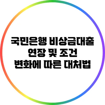 국민은행 비상금대출 연장 및 조건 변화에 따른 대처법