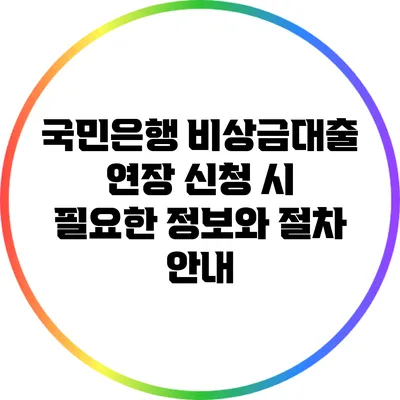 국민은행 비상금대출 연장 신청 시 필요한 정보와 절차 안내