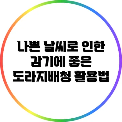 나쁜 날씨로 인한 감기에 좋은 도라지배청 활용법