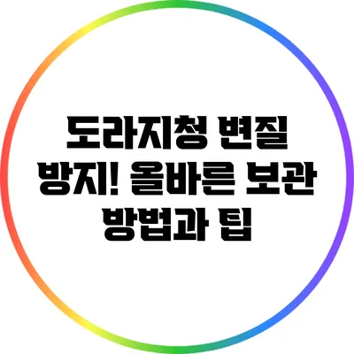 도라지청 변질 방지! 올바른 보관 방법과 팁