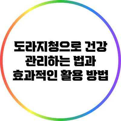 도라지청으로 건강 관리하는 법과 효과적인 활용 방법