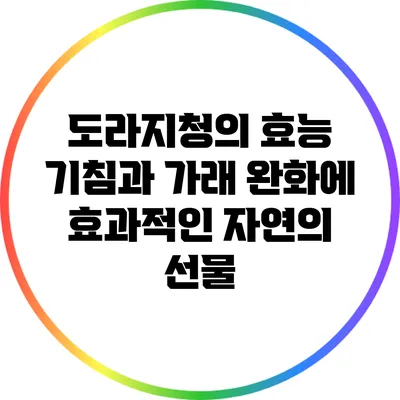 도라지청의 효능: 기침과 가래 완화에 효과적인 자연의 선물