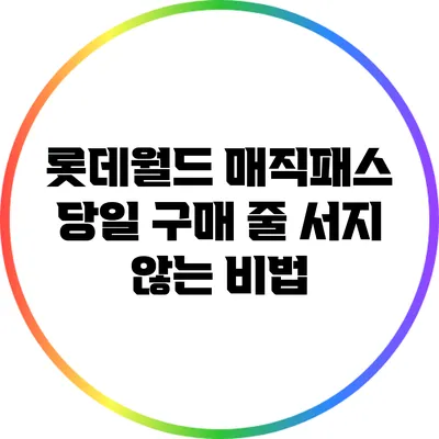 롯데월드 매직패스 당일 구매 줄 서지 않는 비법