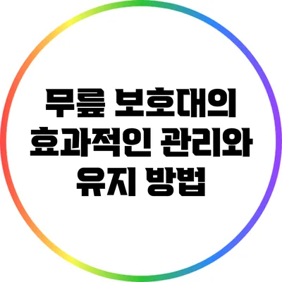 무릎 보호대의 효과적인 관리와 유지 방법