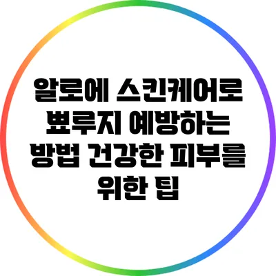 알로에 스킨케어로 뾰루지 예방하는 방법: 건강한 피부를 위한 팁