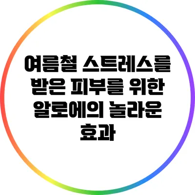 여름철 스트레스를 받은 피부를 위한 알로에의 놀라운 효과