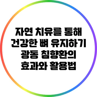 자연 치유를 통해 건강한 뼈 유지하기: 광동 침향환의 효과와 활용법