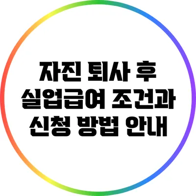 자진 퇴사 후 실업급여 조건과 신청 방법 안내