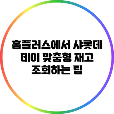 홈플러스에서 샤롯데 데이 맞춤형 재고 조회하는 팁
